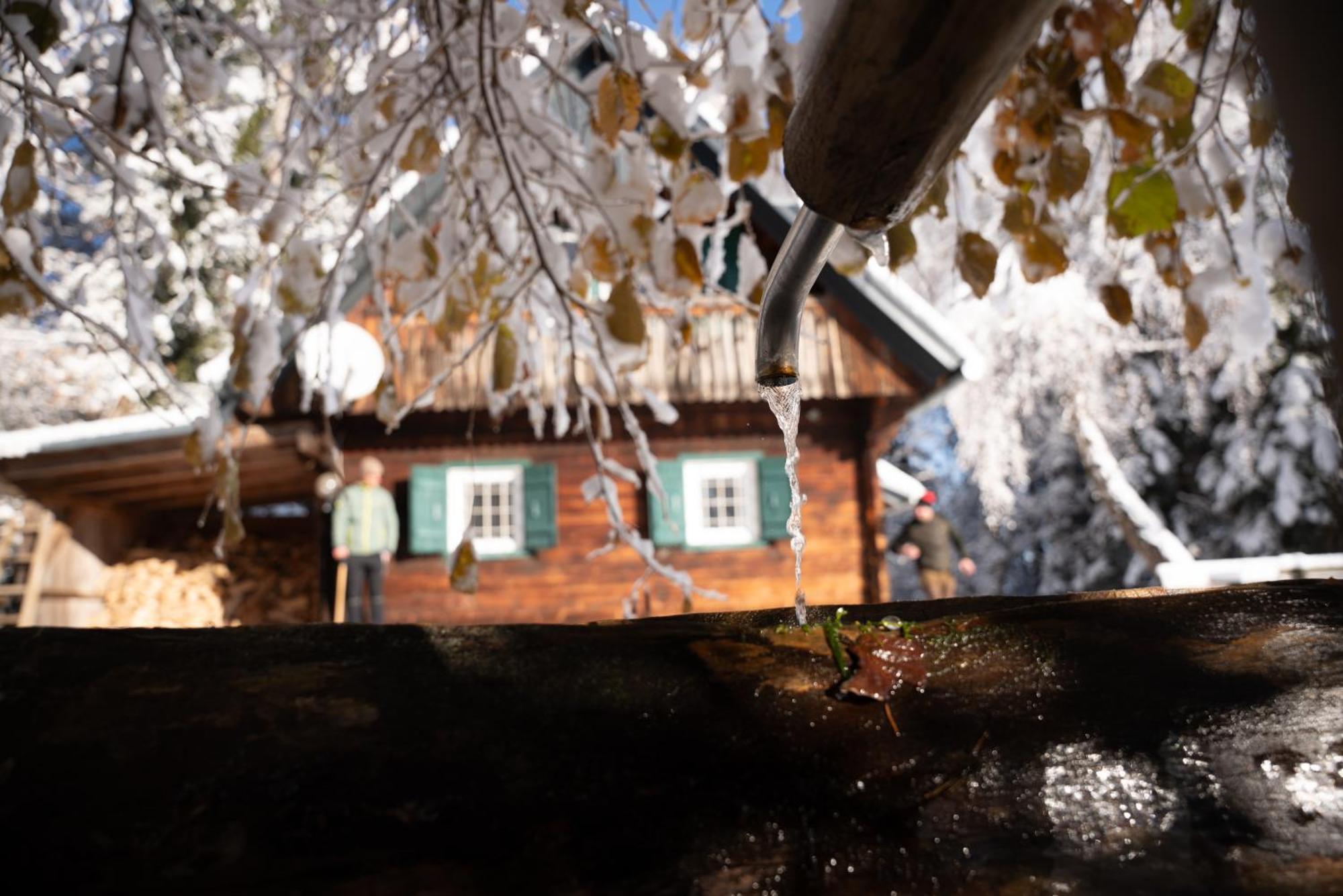 Gregor'S Ferienhaus Im Wald Edelschrott المظهر الخارجي الصورة