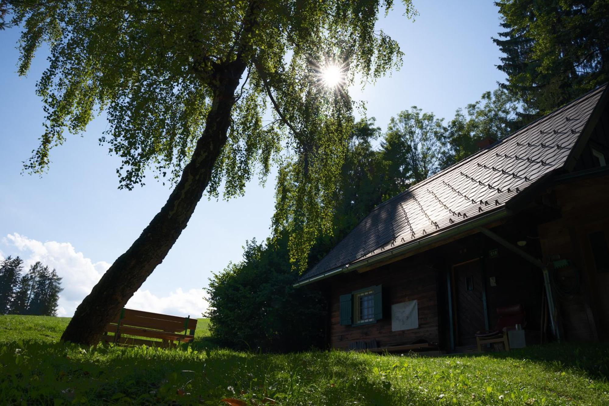 Gregor'S Ferienhaus Im Wald Edelschrott المظهر الخارجي الصورة